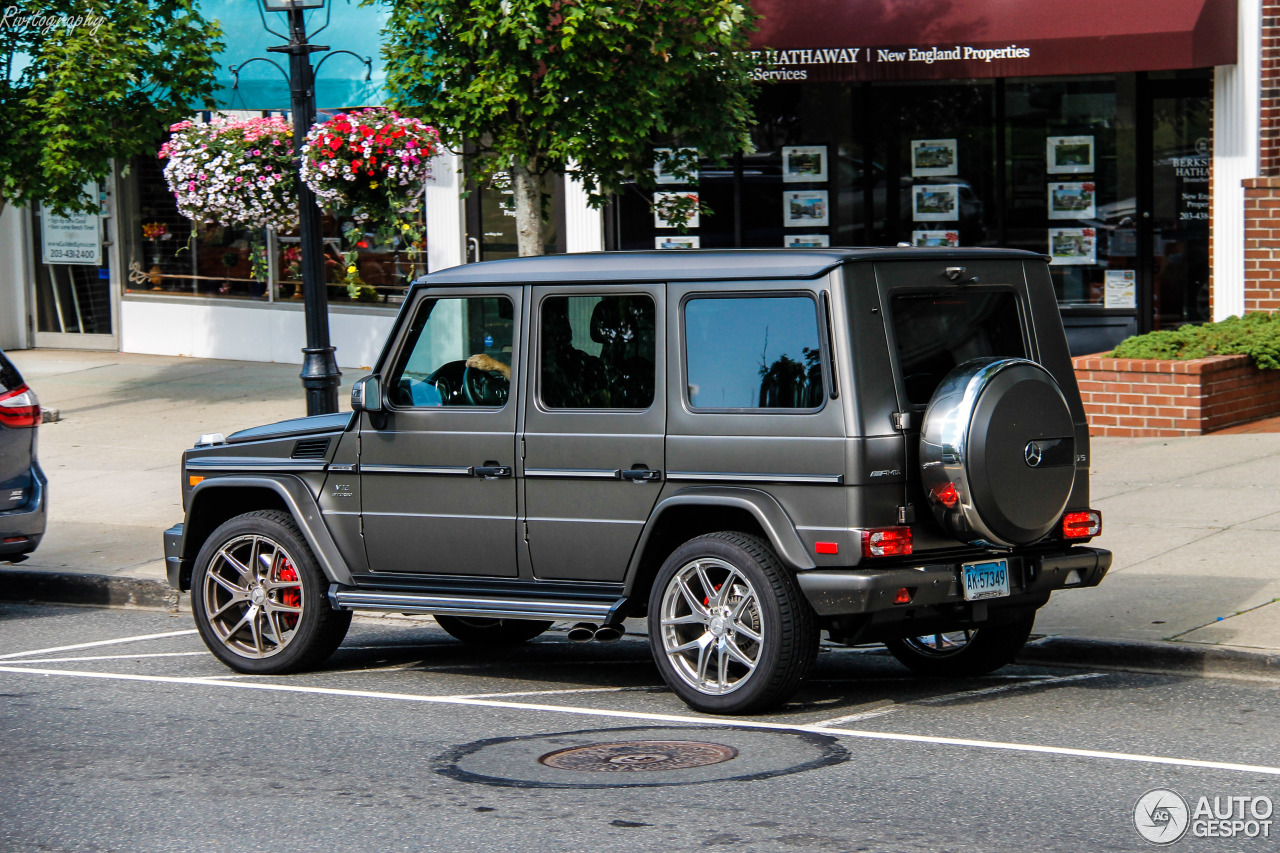 Mercedes-AMG G 65 2016 Edition 463