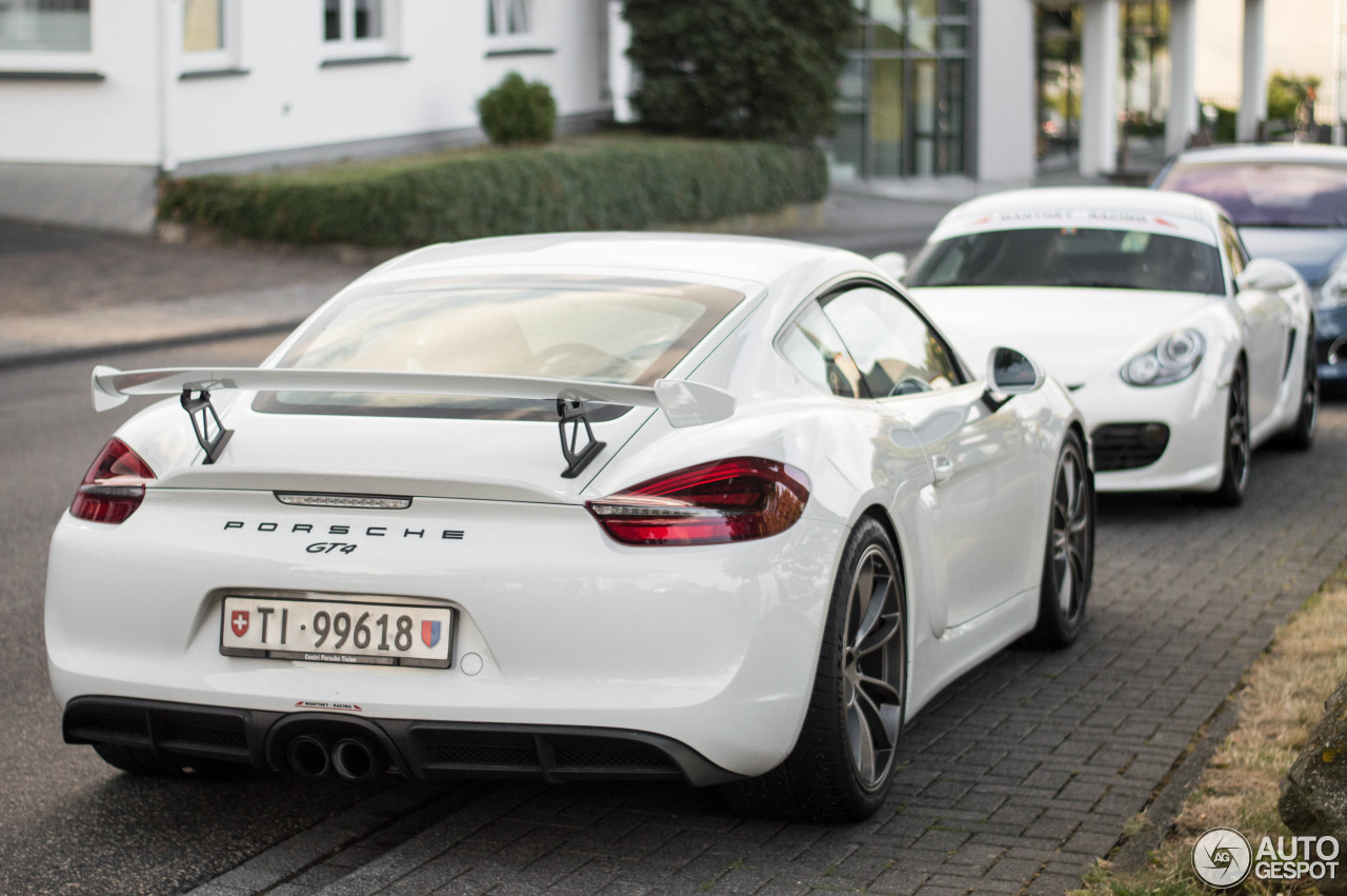 Porsche 981 Cayman GT4