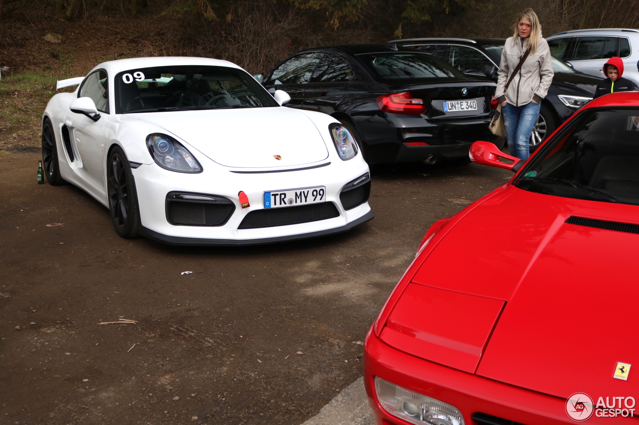 Porsche 981 Cayman GT4