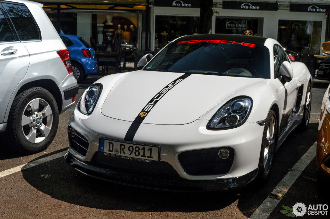 Porsche TechArt Cayman S 2013