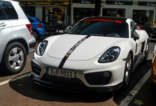 Porsche TechArt Cayman S 2013