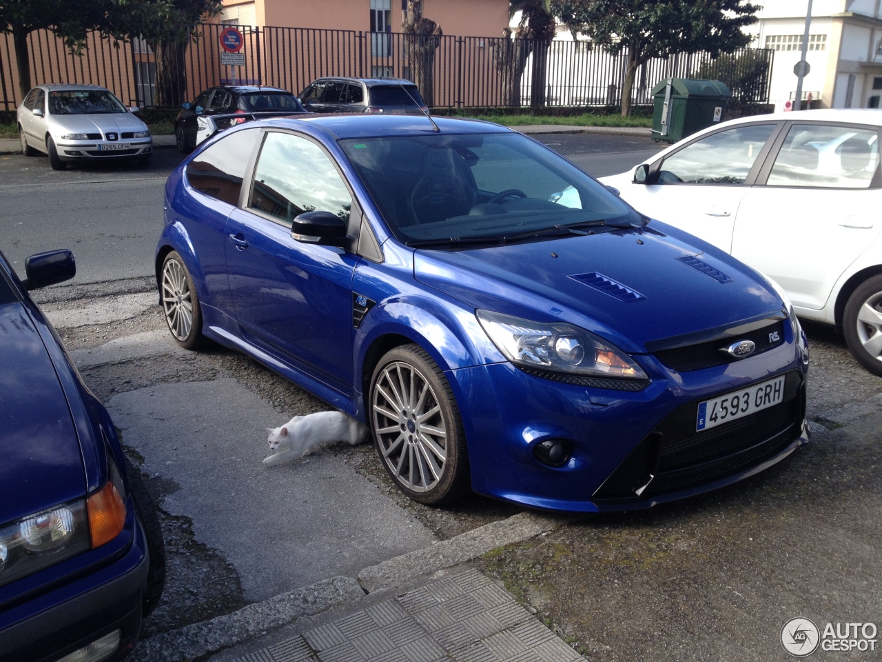 Ford Focus RS 2009