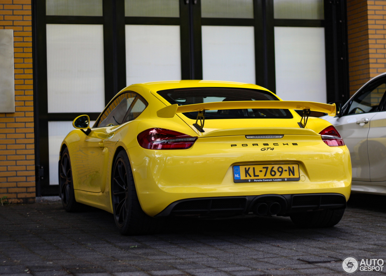 Porsche 981 Cayman GT4