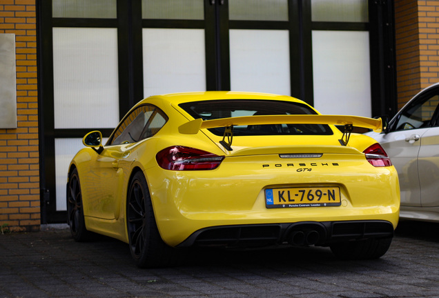 Porsche 981 Cayman GT4