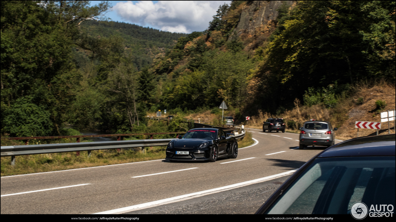 Porsche 981 Cayman GT4