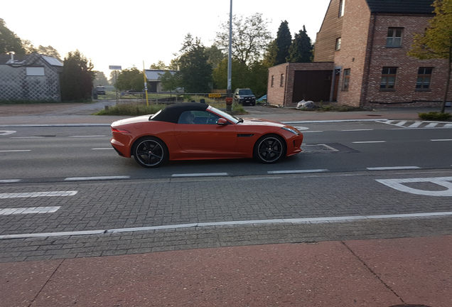 Jaguar F-TYPE S Convertible