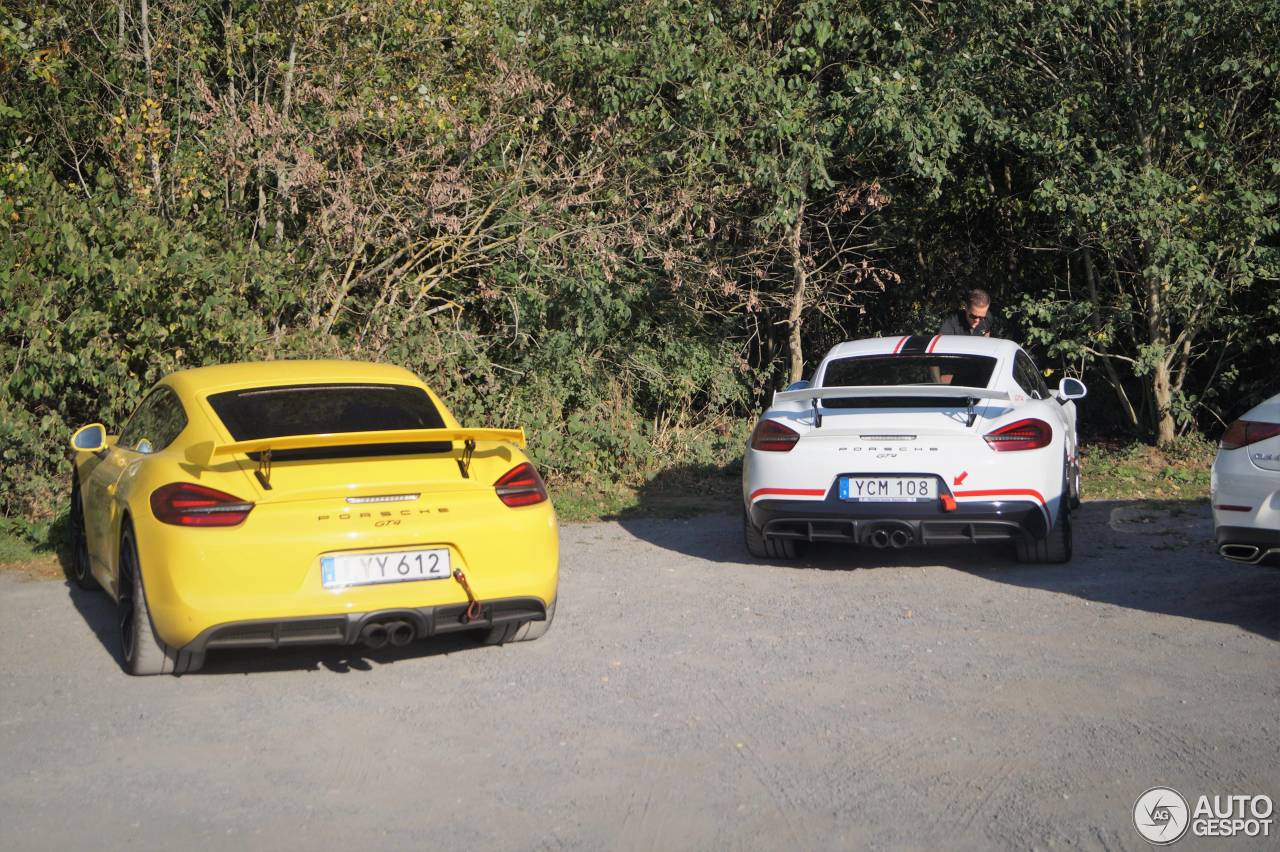 Porsche 981 Cayman GT4