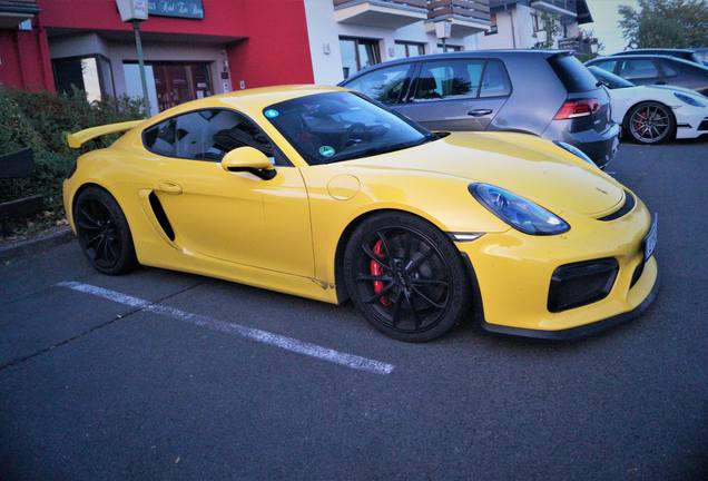 Porsche 981 Cayman GT4