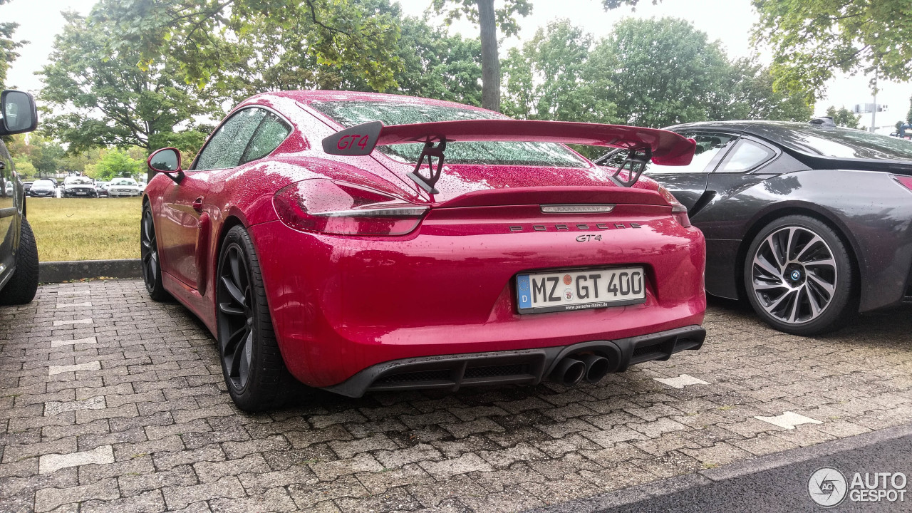 Porsche 981 Cayman GT4