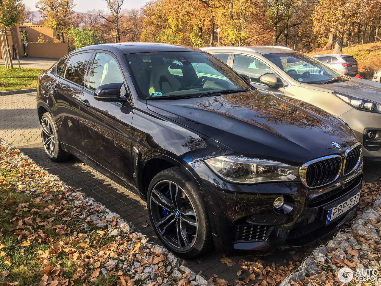 BMW X6 M F86