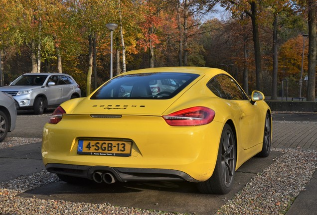 Porsche 981 Cayman S