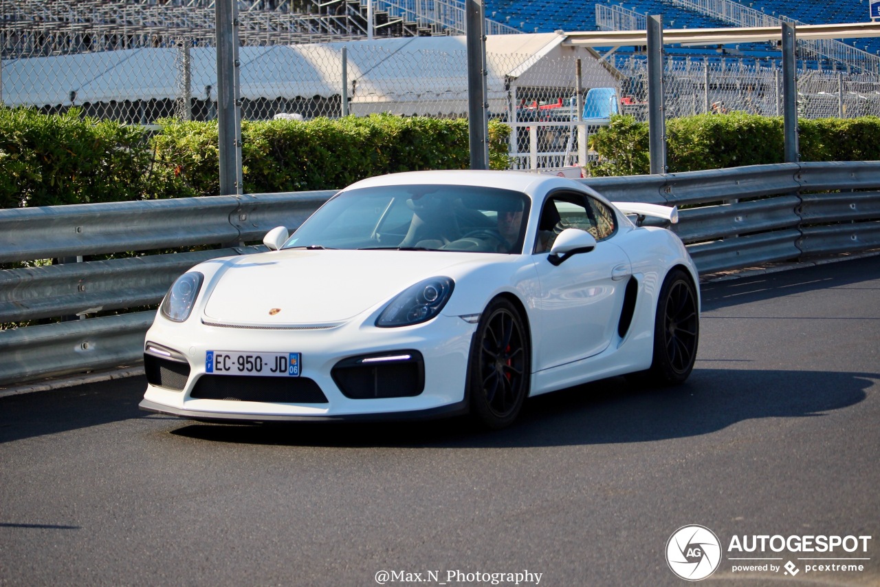 Porsche 981 Cayman GT4