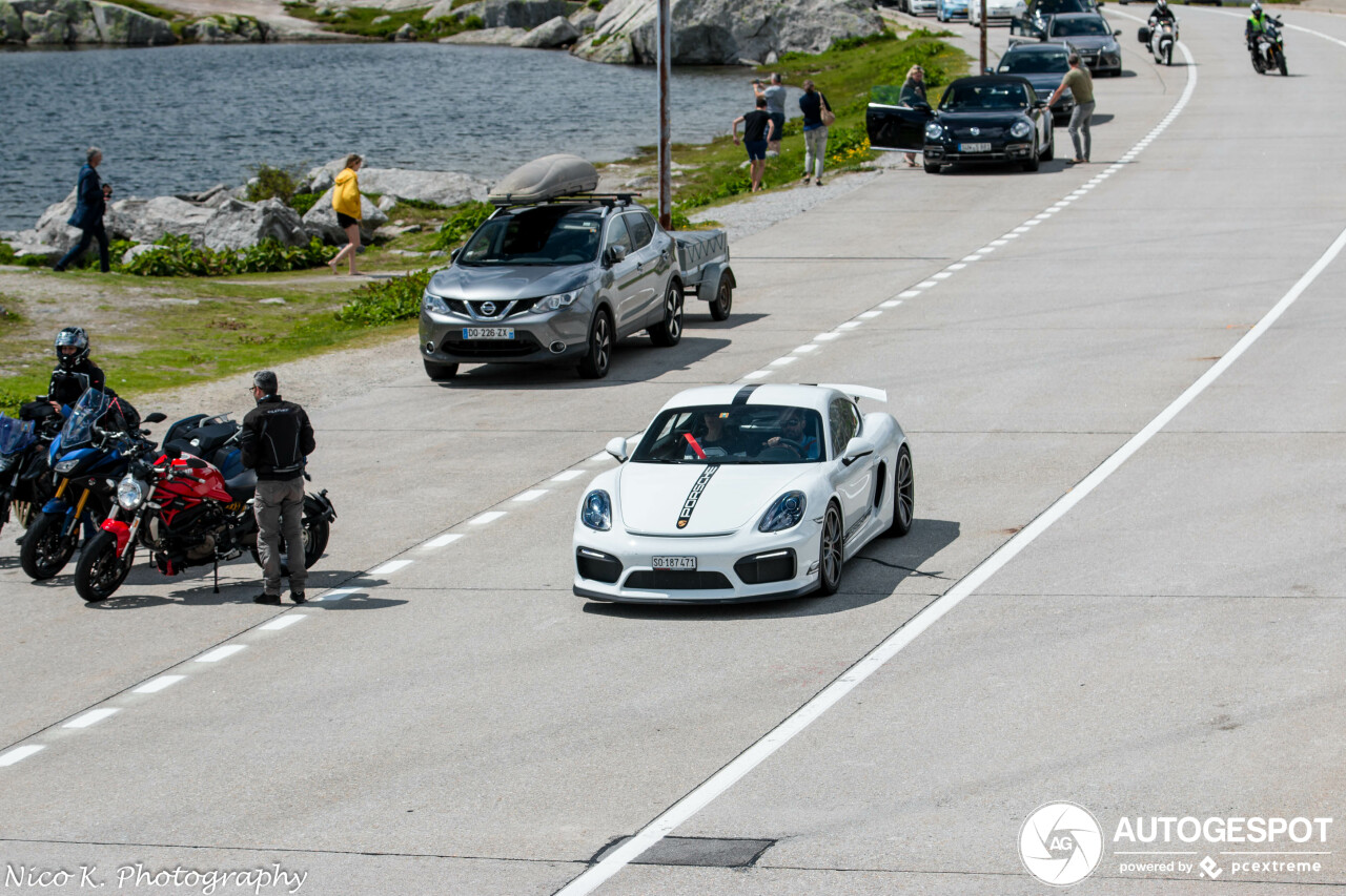 Porsche 981 Cayman GT4