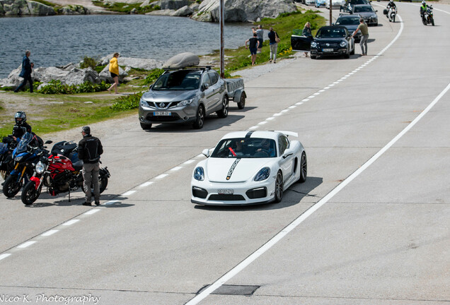 Porsche 981 Cayman GT4