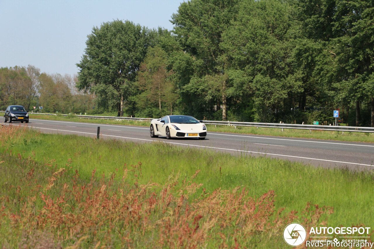 Lamborghini Gallardo SE