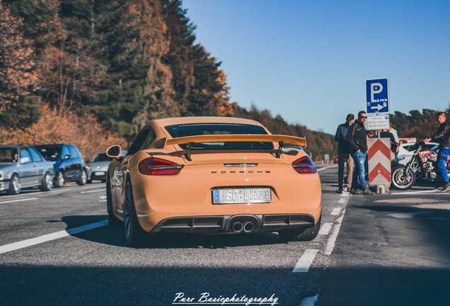 Porsche 981 Cayman GT4
