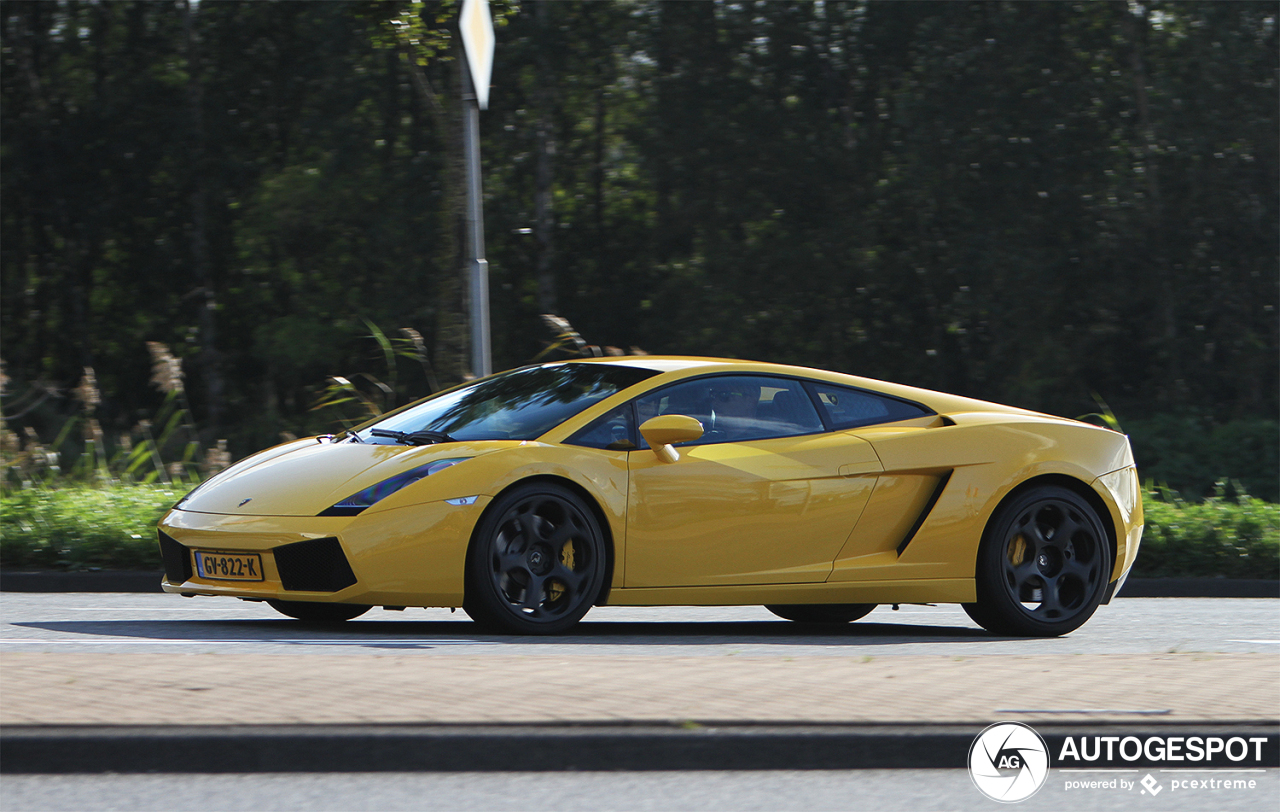 Lamborghini Gallardo