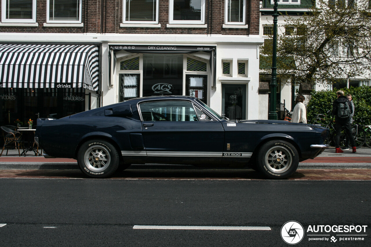 Ford Mustang Shelby G.T. 500