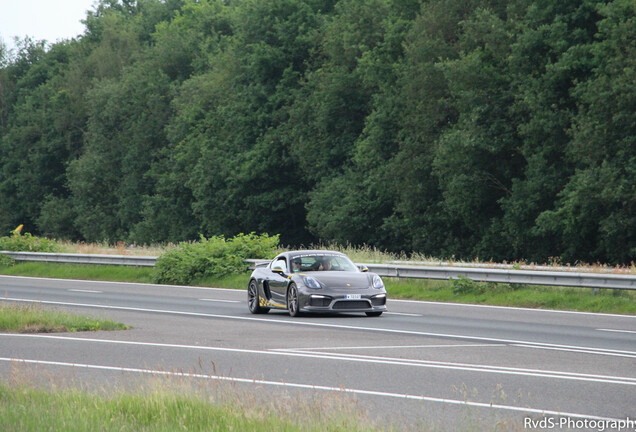 Porsche 981 Cayman GT4