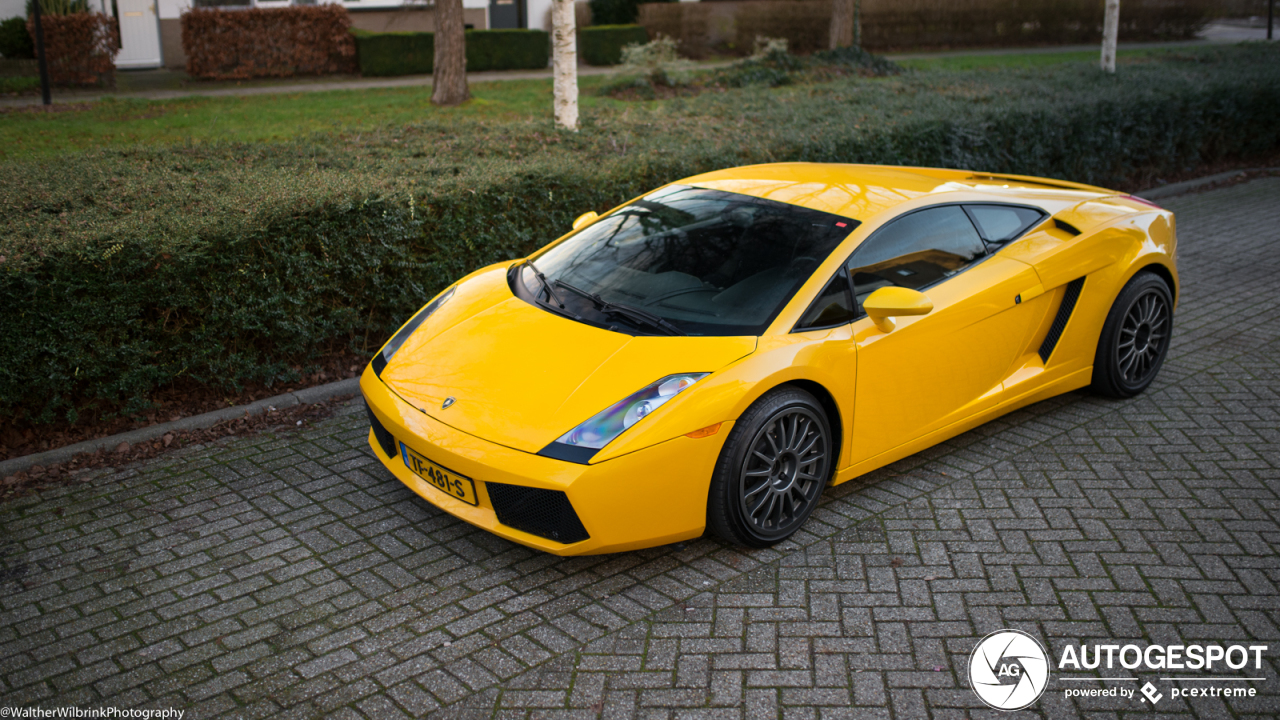 Lamborghini Gallardo