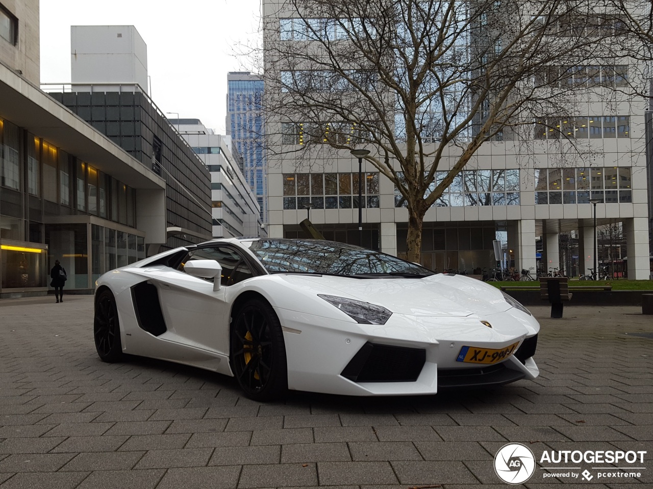 Lamborghini Aventador LP700-4 Roadster