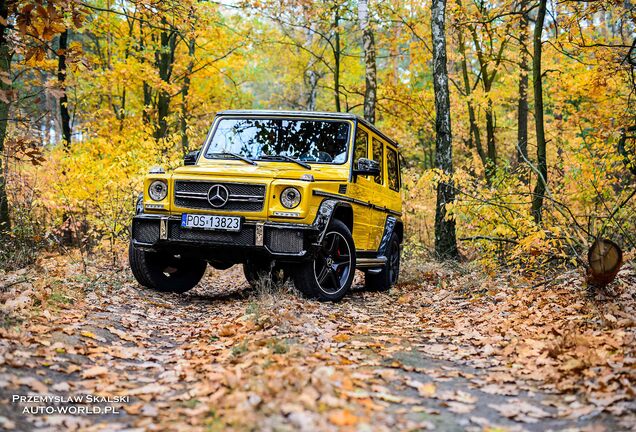 Mercedes-Benz G 63 AMG Crazy Color Edition