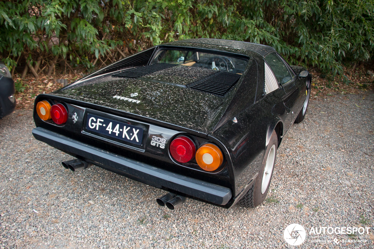 Ferrari 308 GTS