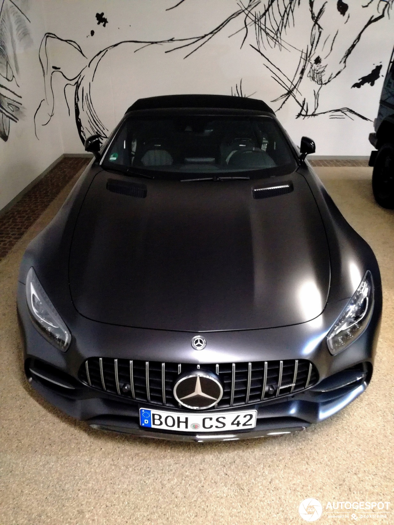 Mercedes-AMG GT C Roadster R190 Edition 50