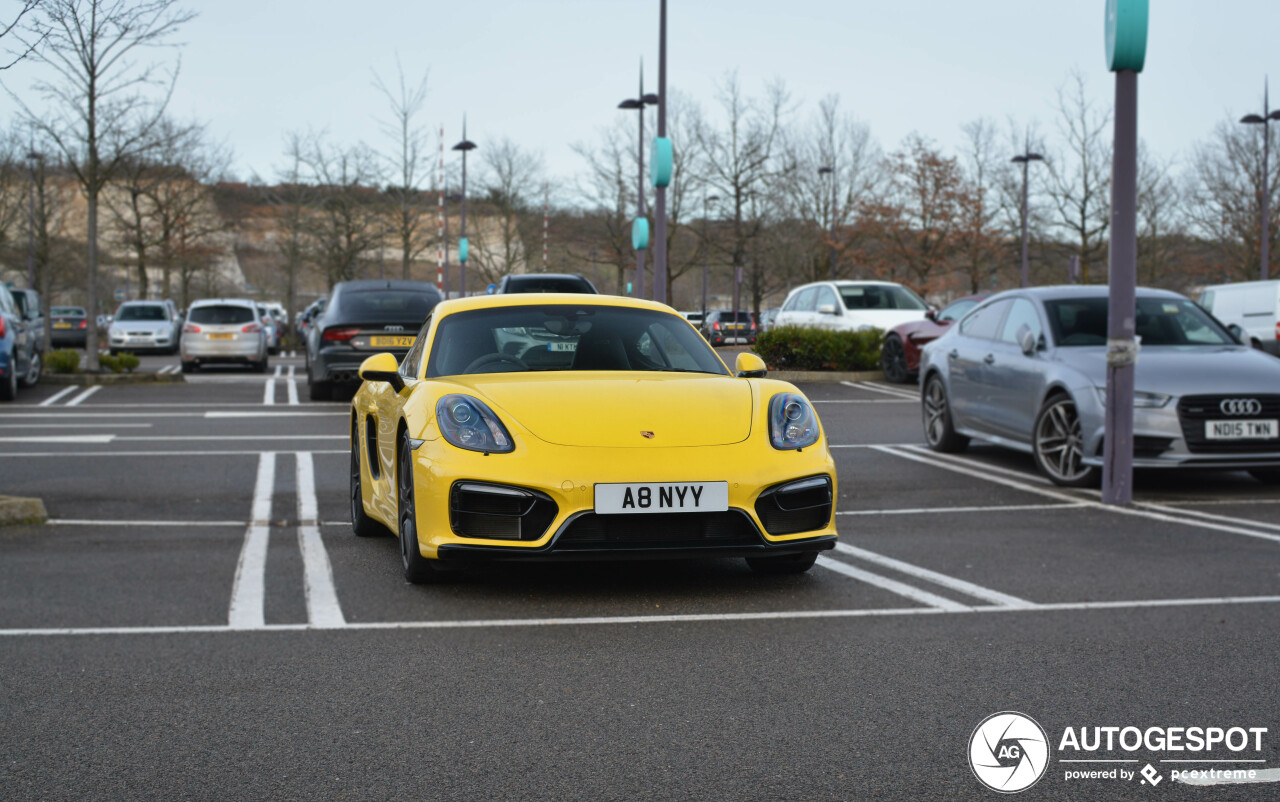 Porsche 981 Cayman GTS