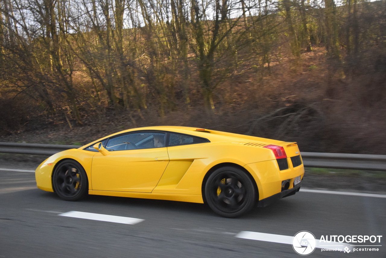 Lamborghini Gallardo