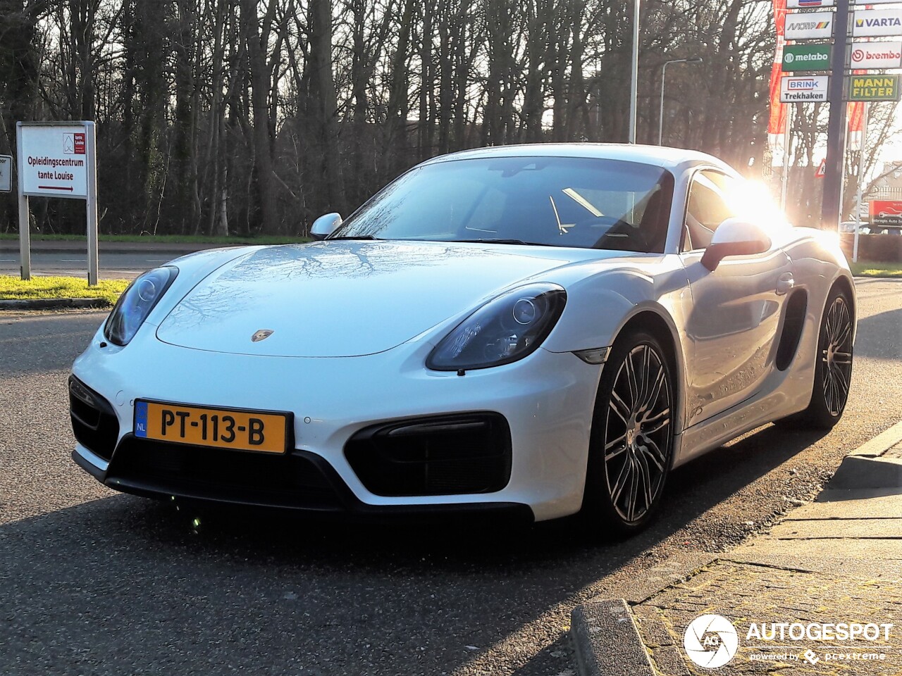 Porsche 981 Cayman GTS