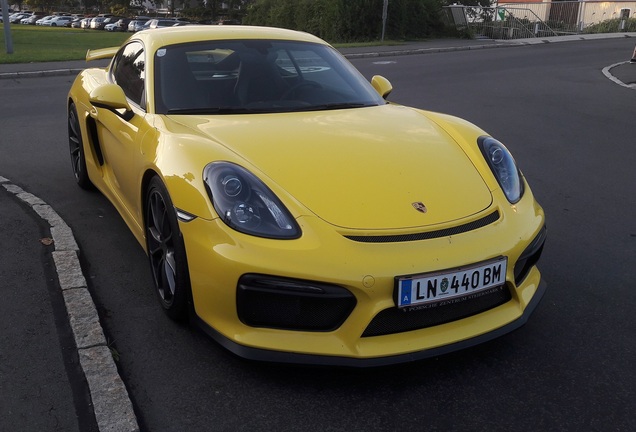 Porsche 981 Cayman GT4