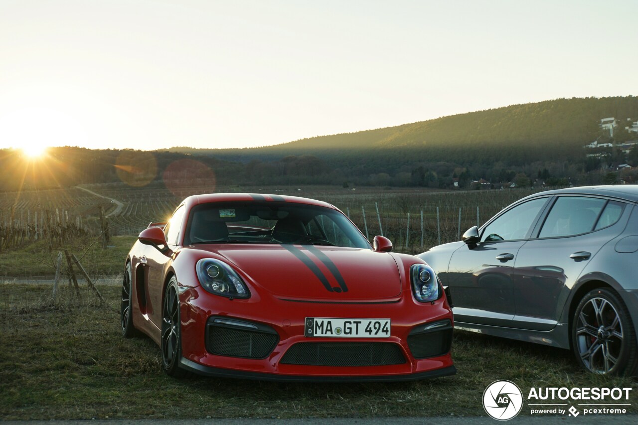 Porsche 981 Cayman GT4