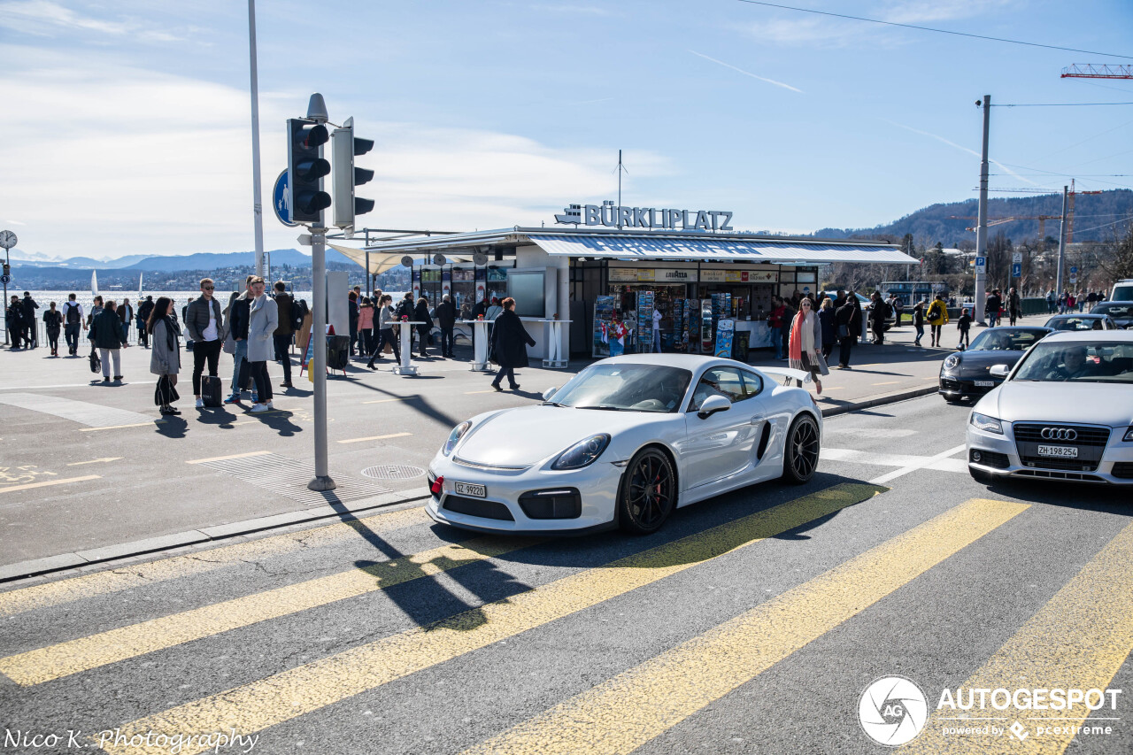 Porsche 981 Cayman GT4