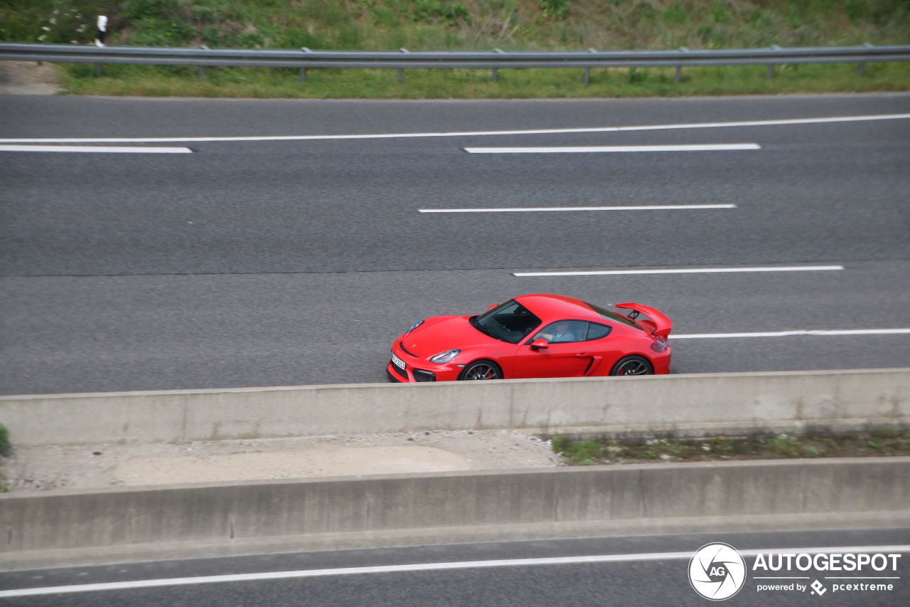 Porsche 981 Cayman GT4