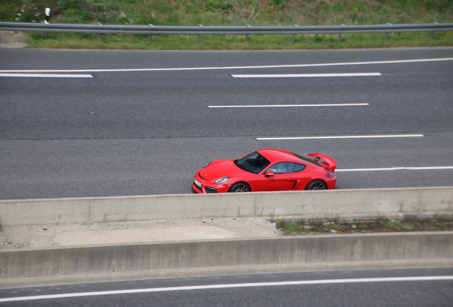 Porsche 981 Cayman GT4