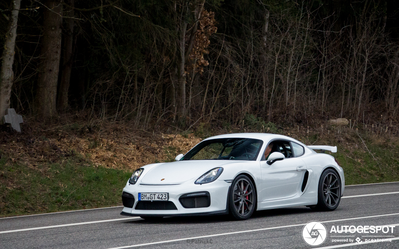 Porsche 981 Cayman GT4