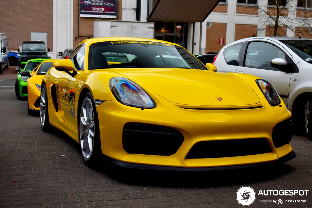 Porsche 981 Cayman GT4