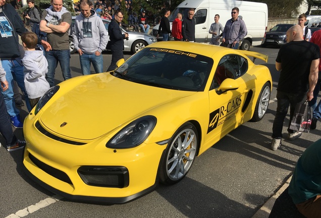 Porsche 981 Cayman GT4