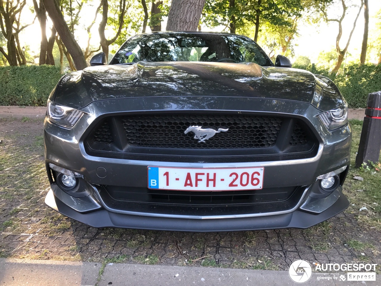 Ford Mustang GT 2015