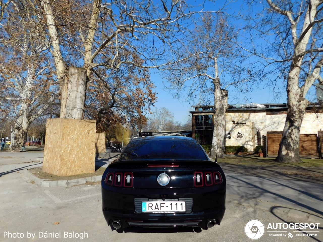 Ford Mustang GT 2013