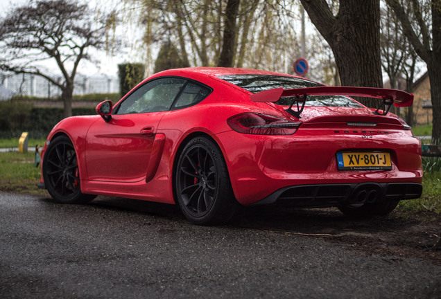 Porsche 981 Cayman GT4