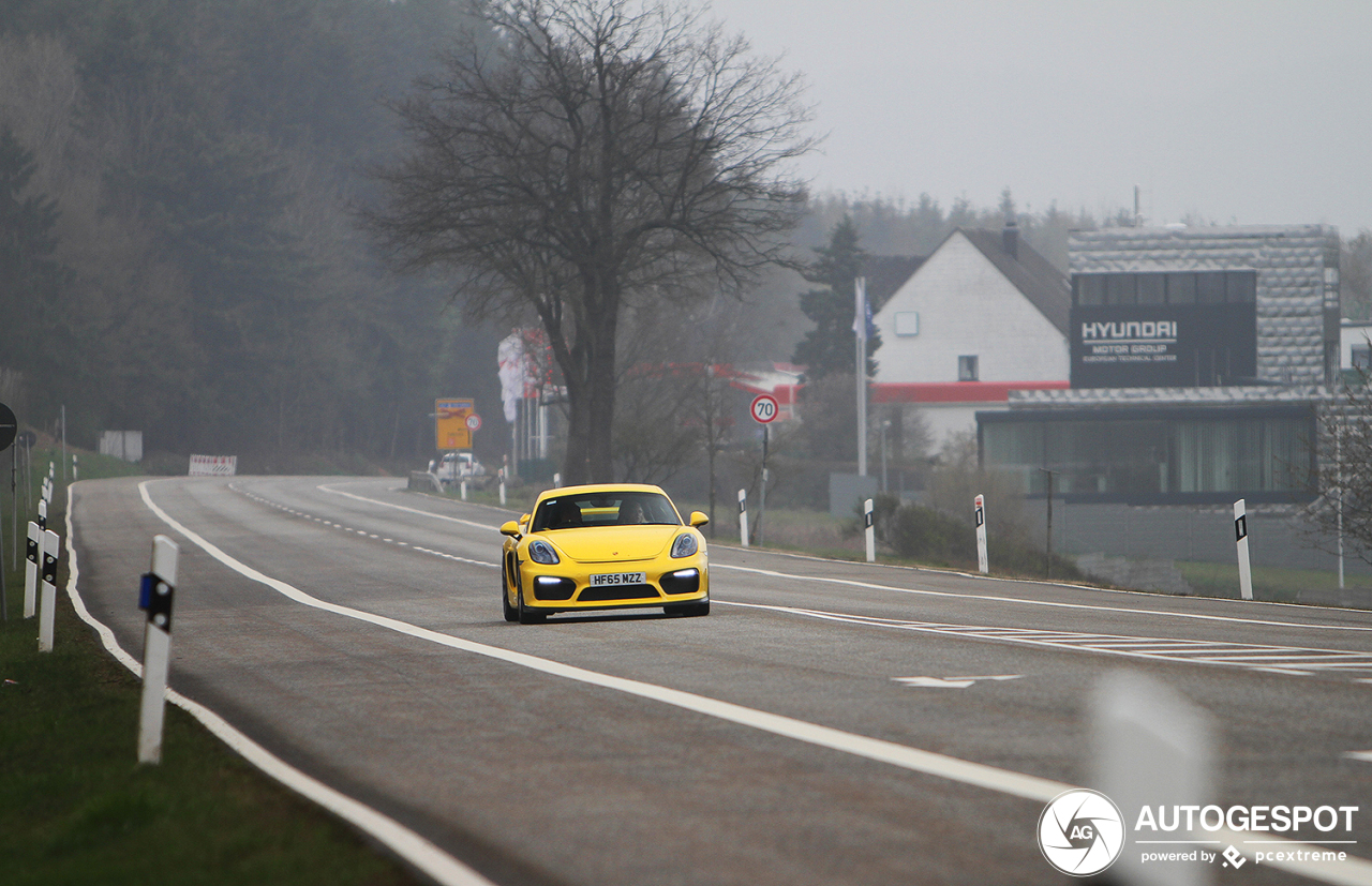 Porsche 981 Cayman GT4