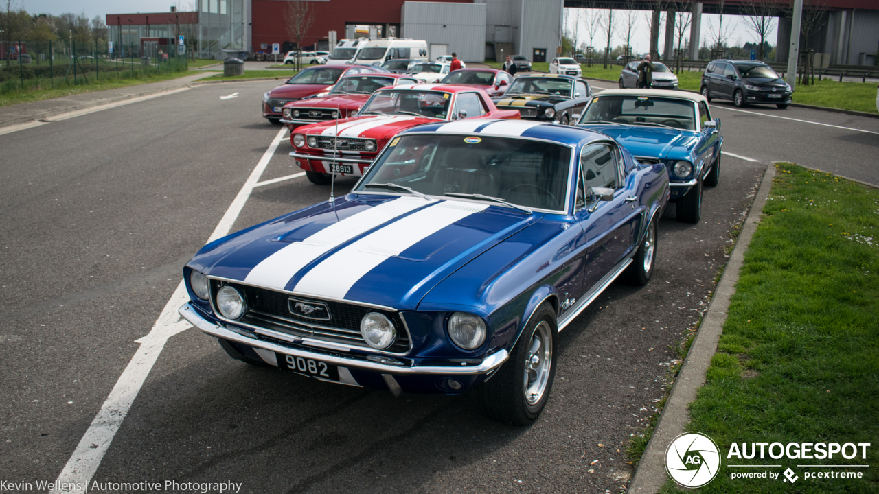 Ford Mustang Shelby G.T. 500