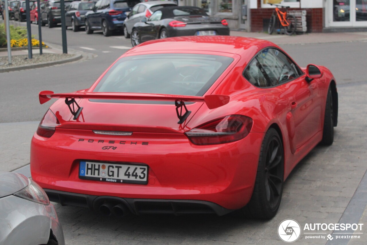 Porsche 981 Cayman GT4