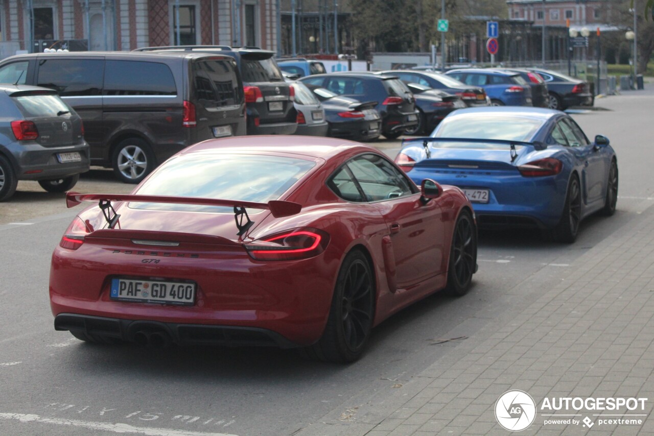 Porsche 981 Cayman GT4