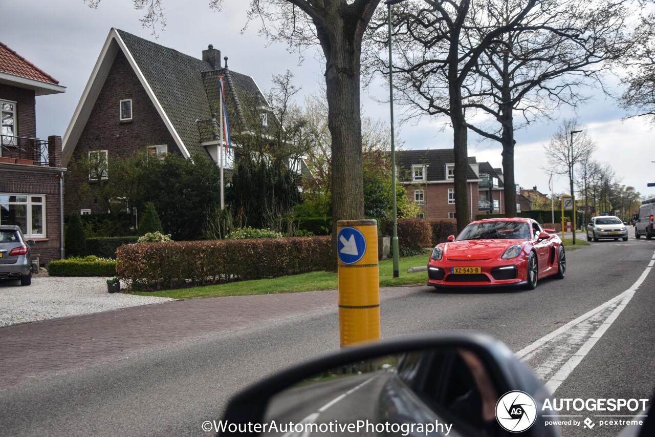 Porsche 981 Cayman GT4