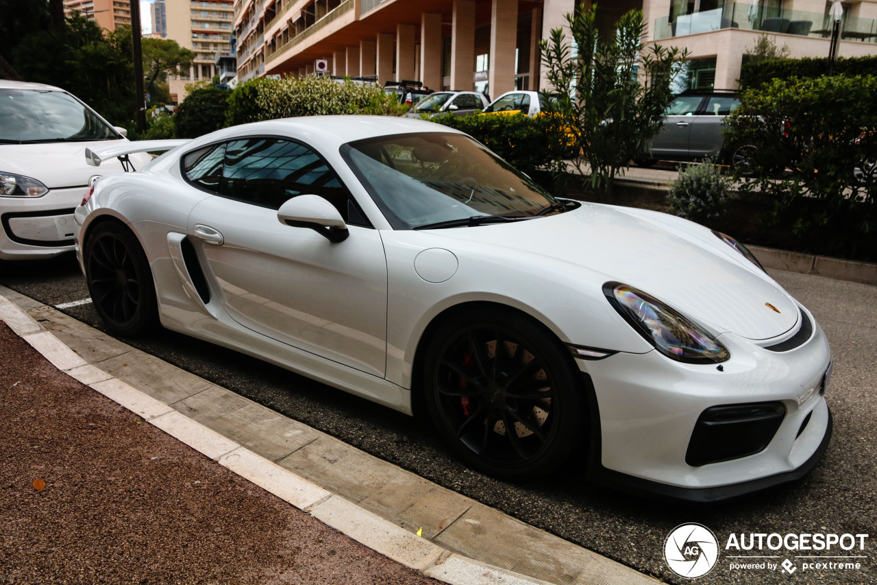 Porsche 981 Cayman GT4