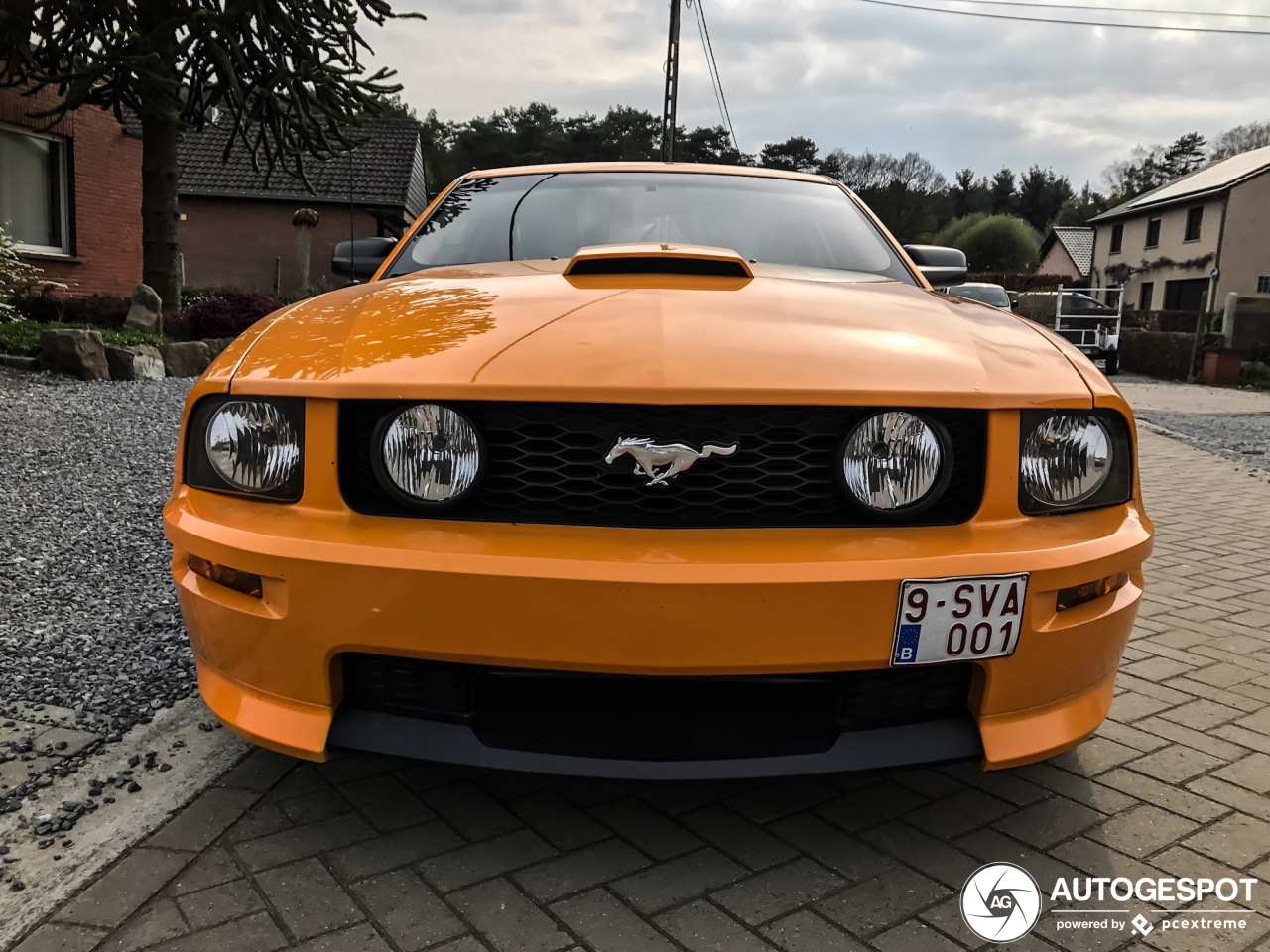 Ford Mustang GT California Special - 16 April 2019 - Autogespot