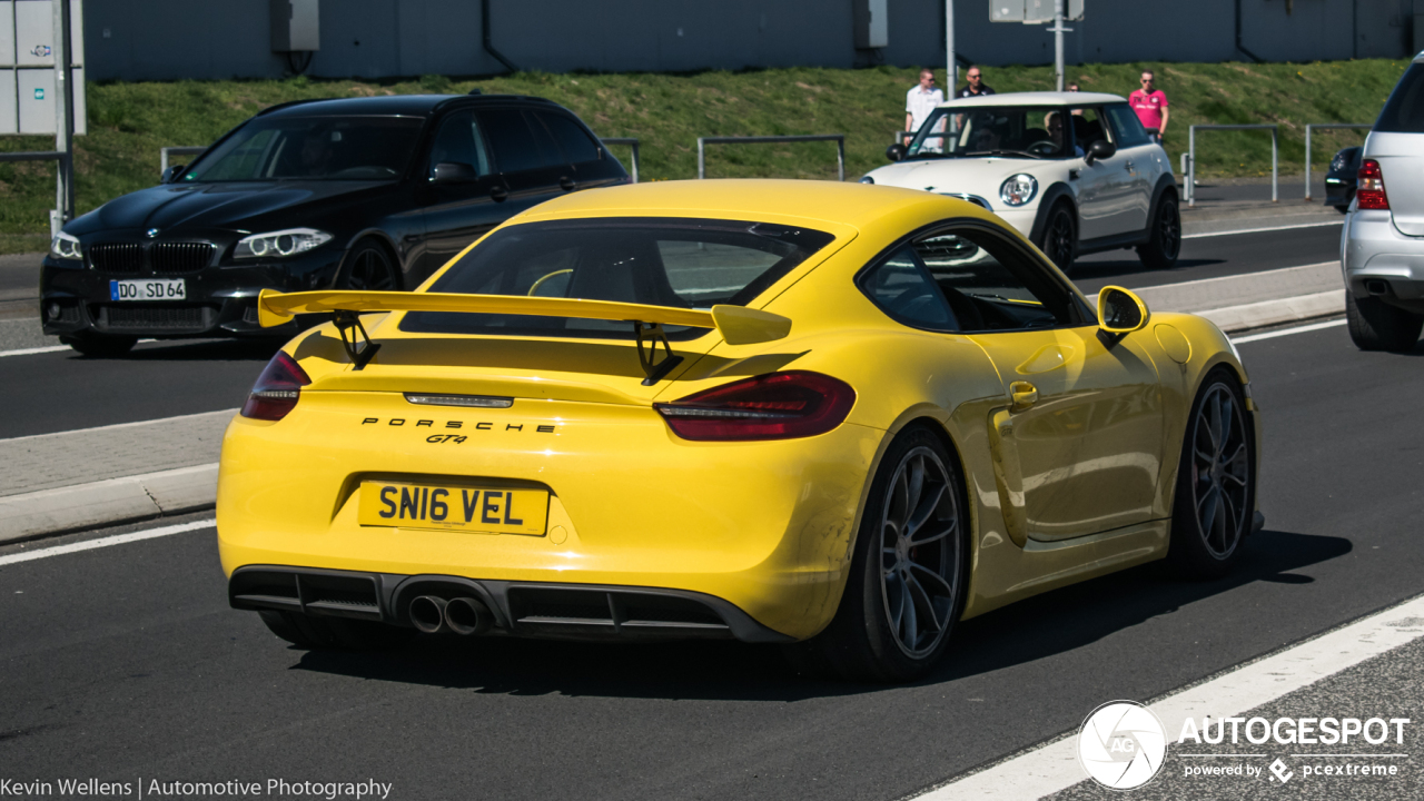 Porsche 981 Cayman GT4